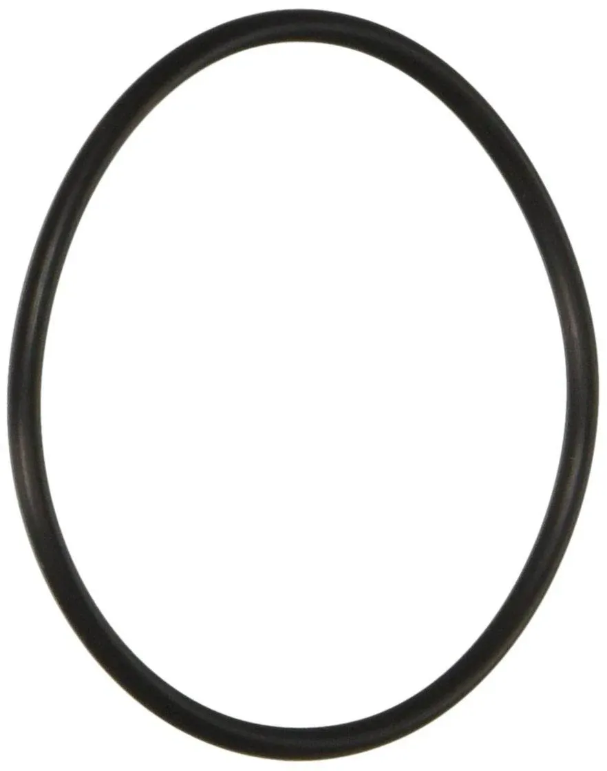 Pentair 59000600 Bulkhead O-Ring Replacement FNS Plus Pool and Spa D.E. Filter