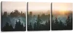 SDYA Forest Bathed in Sunlight Canvas Print Picture Painting Wall Art for Bedroom Living Room Framed 3 Piece Artwork Wall Decor for Bathroom Modern