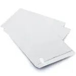 100 9 x 12 SELF SEAL Security White Catalog Envelopes 28lb Security Tinted