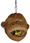 A&amp;E Cage Company Happy Beaks Coco Monkey Head Birds toy