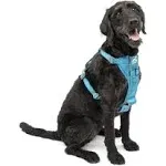 Kurgo Tru-Fit Smart Dog Harness