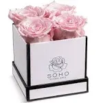 Soho Floral Arts Roses in A Box Genuine Roses That Last for Years White Square ...