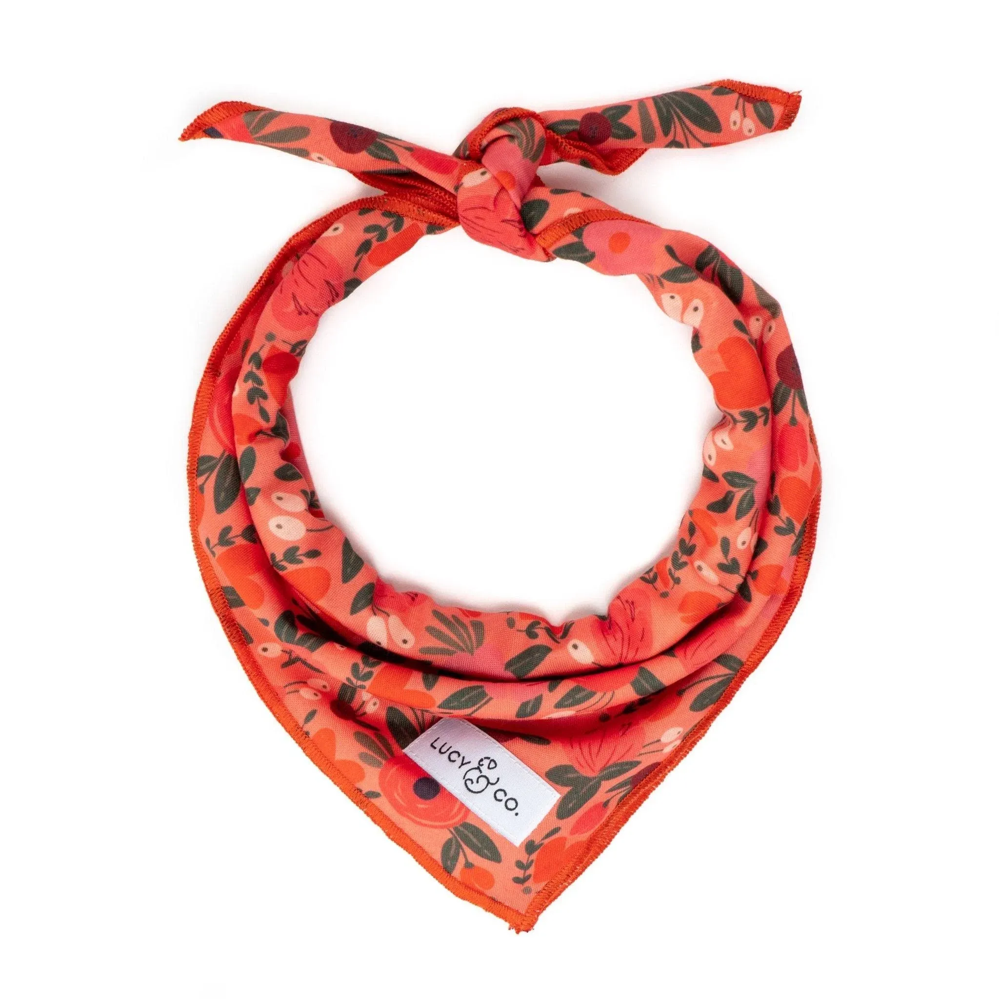 Lucy & Co Bandana Posy Pink Small