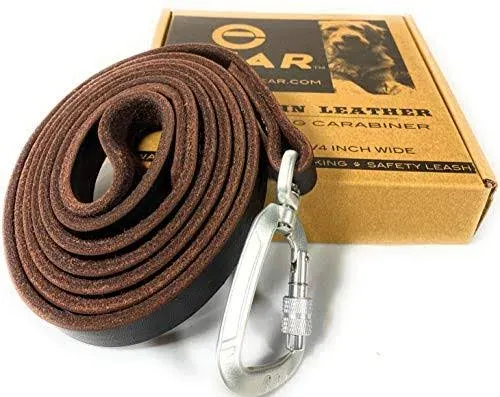 Enthusiast Gear Leather Dog Leash with Locking Carabiner | Strong and Soft Leash for Large and Medium Dogs | 6 ft Long x ¾” Wide Genuine Leather Brown