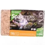 Besgrow New Zealand Sphagnum Moss