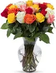 Benchmark Bouquets 24 Stem Rainbow Roses Glass Vase Included Gift Fresh Flowers for Birthday Anniversary Get Well Sympathy